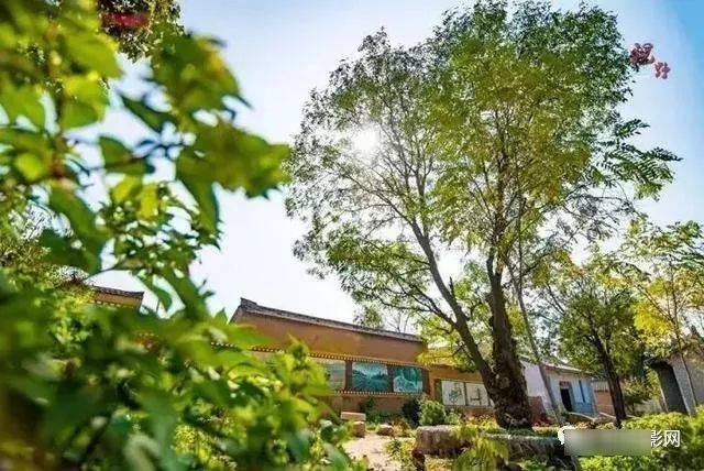 洛阳孟津几绝美古村落！从市区一天打来回还免费！