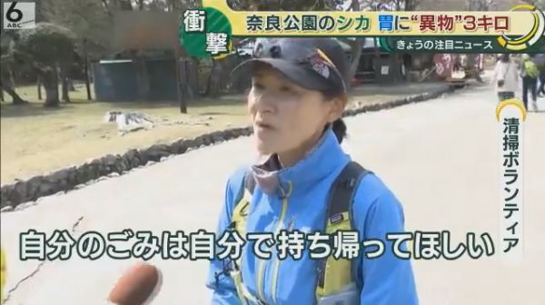 日本奈良一只小鹿死亡！ 肚子里发现3.2kg游客不该喂的东西！