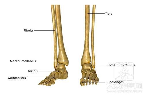 钙多影响什么吸收