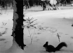 爆笑GIF:媳妇你又在调皮了