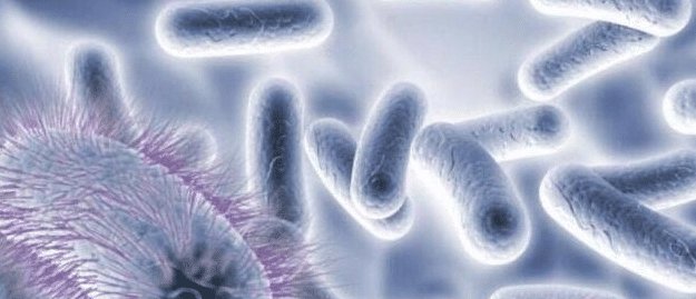 宇宙有比人类大万亿倍的生物? 只是人类太渺小感受不到?