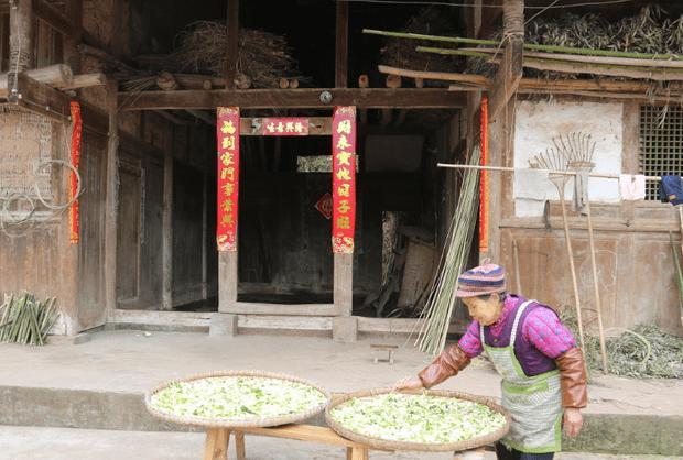 男孩带傻女孩回家父母反对,女孩拿出全家福,父