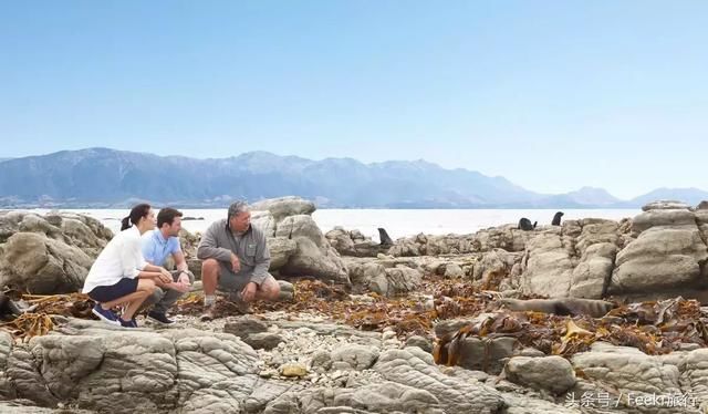 2+1家庭游!全程豪华SUV+私人导游,新西兰高端