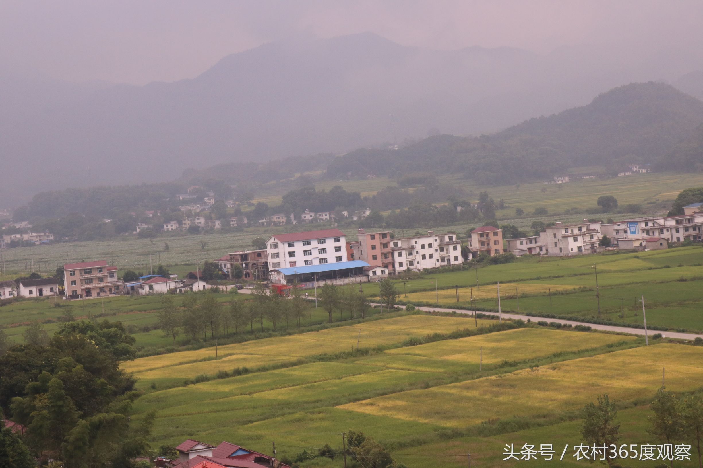 全国商品粮基地县 江西上高县农村风光