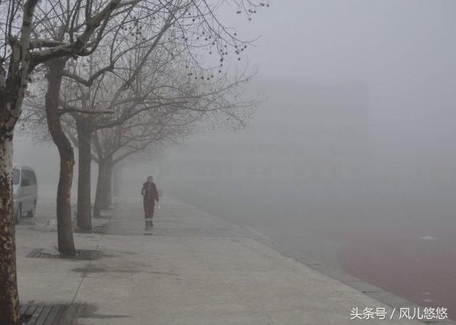 春天到了，又是栽种杉木好时节，记得十不栽，确保您的杉木长得快