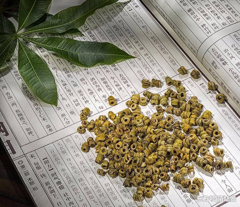 石斛有十大功效,这十种吃法最有效!