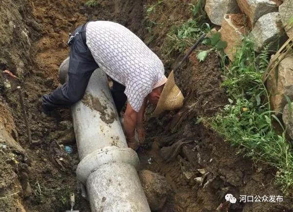 陆河县河口镇全域推进乡村振兴工作简报第一期