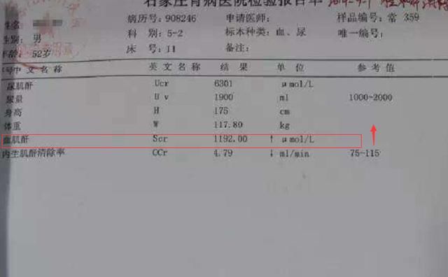 血肌酐大于这个数，表示尿毒症“缠上”你了，及早发现还有得救