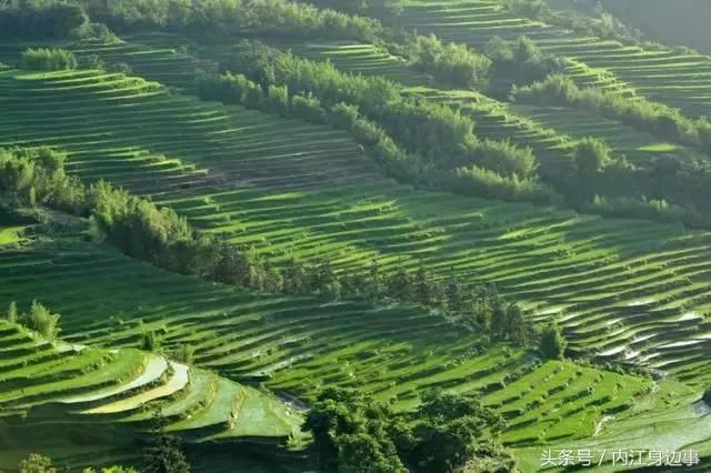 内江生活｜内江周边藏着的几个山水梯田，风景美如画！一天来回！