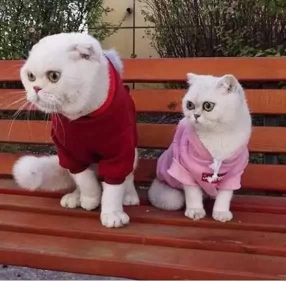 为什么你发的抖音永远火不了