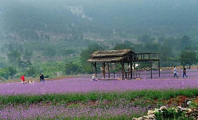 央媒赞徐州：采煤塌陷区变身旅游胜地！