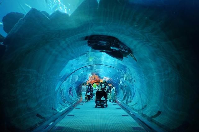 世界上最有钱的城市迪拜,真的没有满地豪车