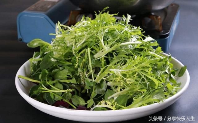 以前生活条件差 不吃这些野菜 现在生活条件好了反而想吃了！