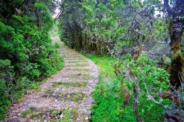 四川最美的城市，这里有峡谷、林海、古村、花海...