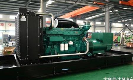 国内排名前五的柴油机品牌, 产品出口国外, 别小