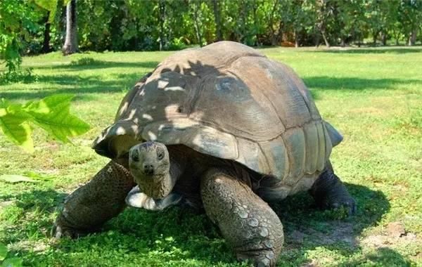 众萌游记：比马尔代夫更有逼格的旅行地，此生必去一次!