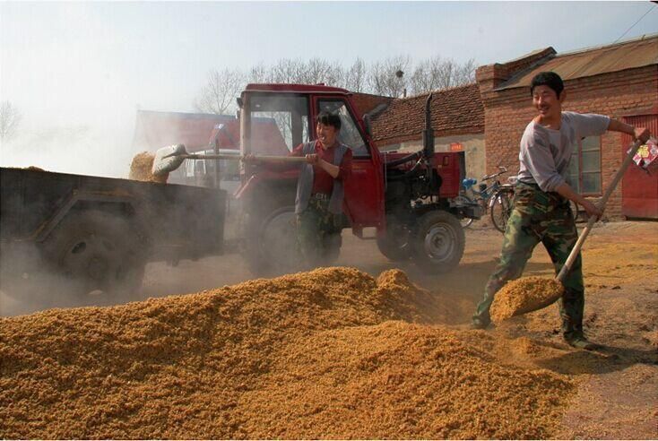 养殖肉牛挣钱急不得忠言逆耳:2018新年给养牛户的10大忠告!