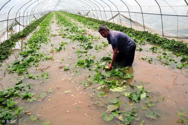 山东寿光洪灾直接损失92亿,天灾人祸措手不及