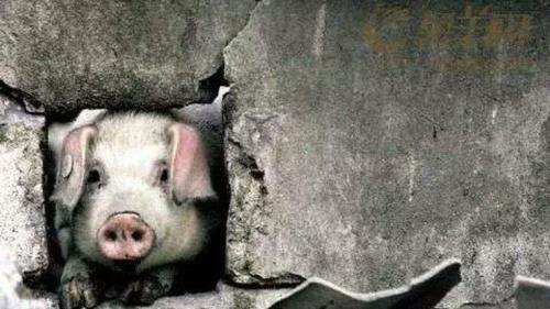 2018年最新经典毒鸡汤段子,平时要多吃点,真的