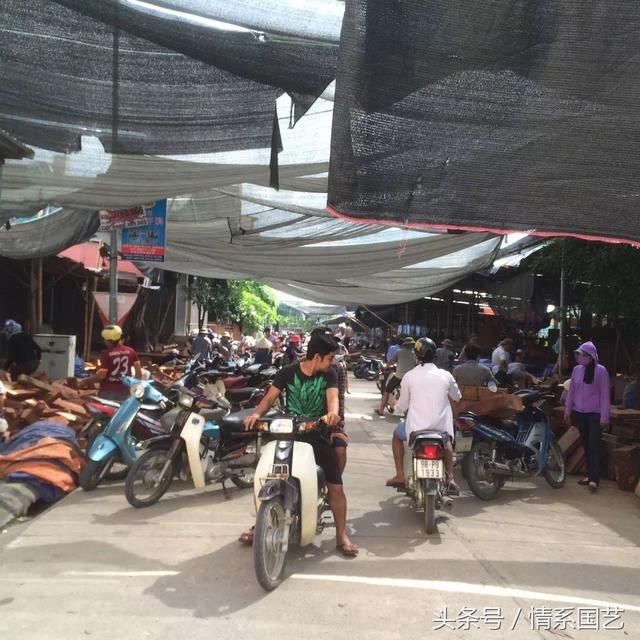 2018年总结下越南红木市场这些的发展史