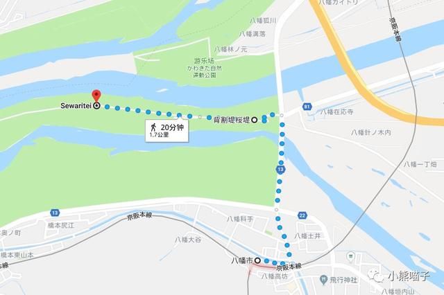 还在烦恼去哪看樱花?你绝对不可错过的9大赏樱圣地!