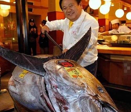世界上最昂贵的食用鱼，大部分人都吃不起!
