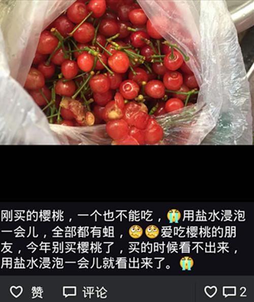 樱桃好吃树难栽，不要因为自己的无知黑了果农