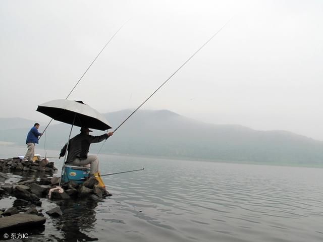 夏天野钓到底是钓深还是钓浅，钓鱼老师傅带来的经验分享