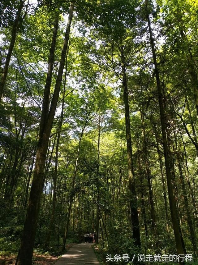 相约张家界森林公园二日游