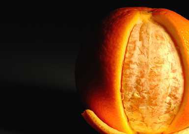 婴儿可以吃橙子吗?