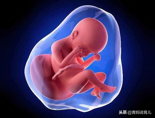 怀胎十月,这个月份胎儿最易发生宫内缺氧,孕妈