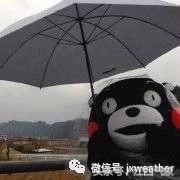 热度回归~下周雨水将重返天气舞台？！