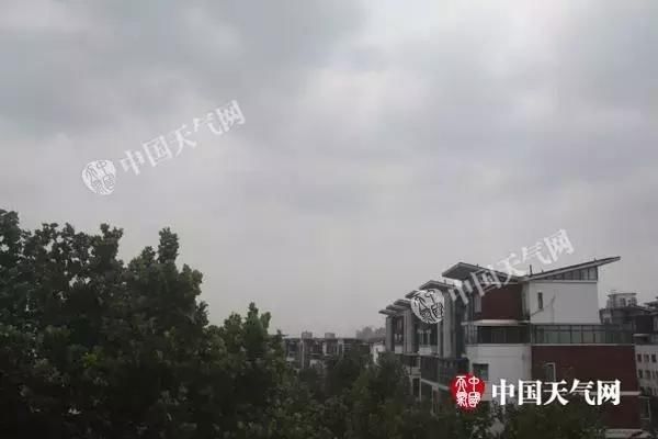 暴雨来袭小麦危急！山东济南菏泽等9市局地或现大暴雨