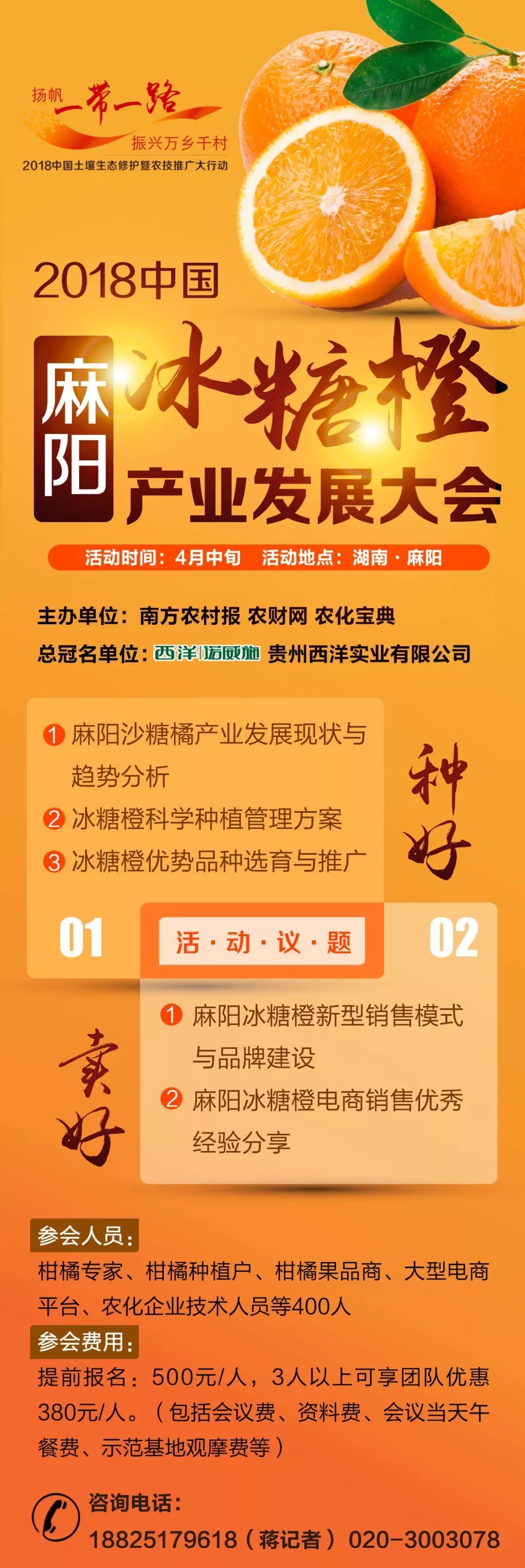 全民电商!麻阳冰糖橙迎高速发展之路