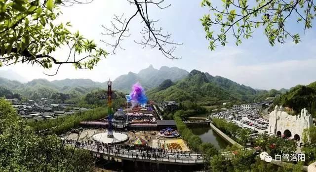 河南这5个地方的野生杜鹃山都染红了天！趁着假期赶紧看花去