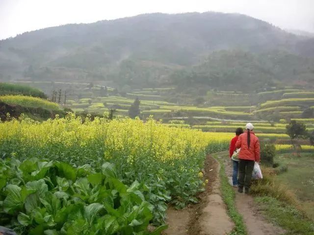 中国人即将面对的五个难题 谁也逃不掉