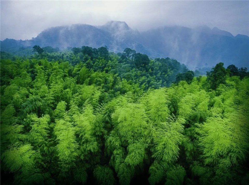 中老年人经常旅行的4大好处，最适合爸妈去旅行的10大目的地