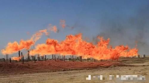 特朗普被袭视频