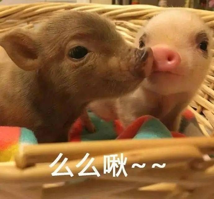 关于迎新直播的这条消息，你一定要知道！！！