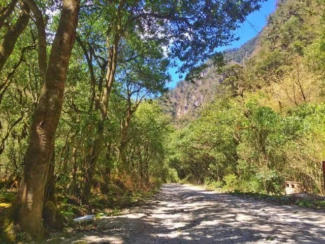 清明踏春冷门景点：看彩林、赏桂花，观峡谷，玩雪水，拒绝人挤人