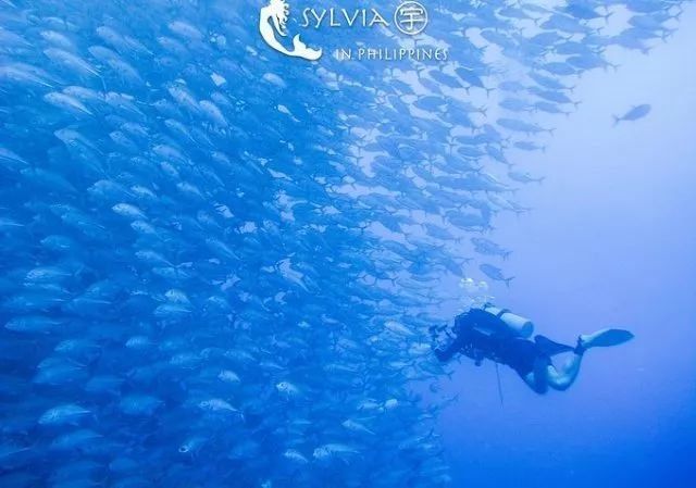 下一个假期去哪?推荐5个海岛给你，人均只要3k