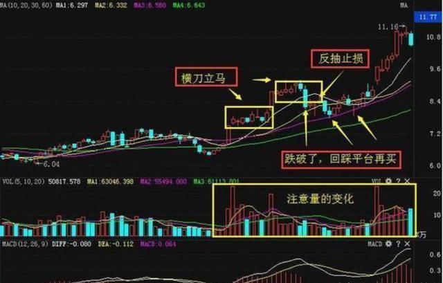 中国股市终于“出丑”了，主力机构全部撤离，散户命运将彻底颠覆