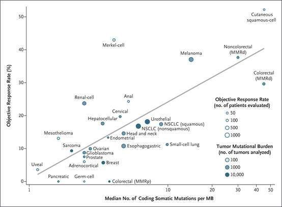 首次证实: 肿瘤突变负荷彻底火了!作为独立生物标志物能够精准预