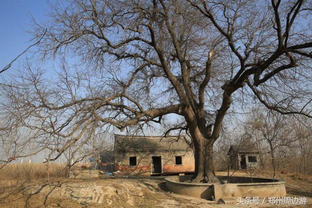 郑州十五个最适合的户外烧烤地，别再去黄河边了