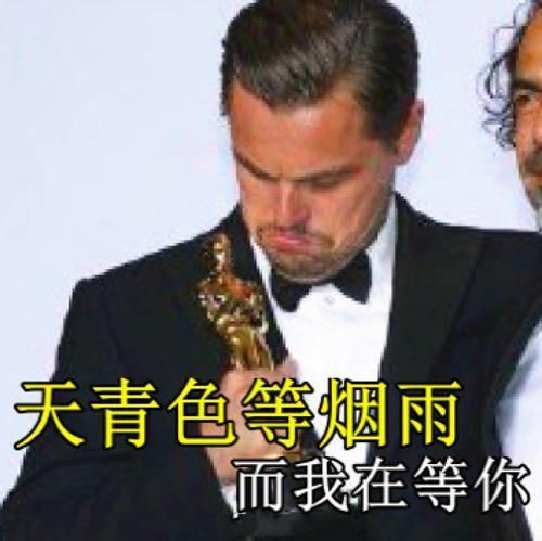 莱昂纳多人生|如果,请叫我表情一手就表情赢家包舒服很皮图片