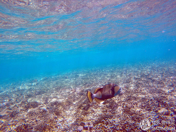 头脑一热，去马来西亚热浪岛了