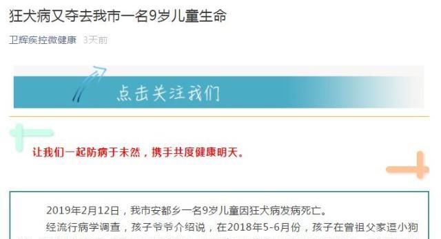 辟谣:狂犬病能治好?医生提醒:发病就是死亡,这样处置才安心 钱柜777唯一官网地址