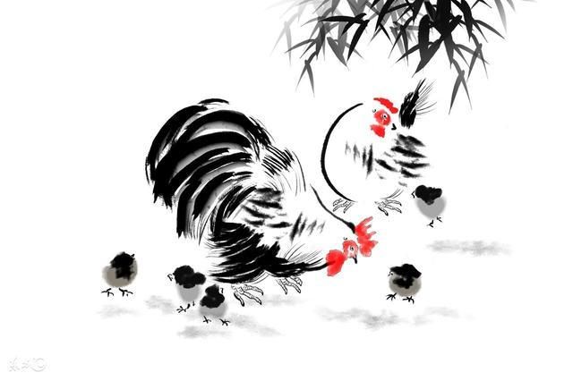 属鸡人“翻身”的机会来了，看完赶紧藏好!