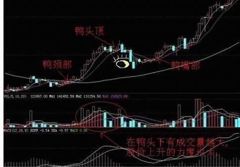 京东借壳上市快递第一龙头,马云携手赵薇526亿