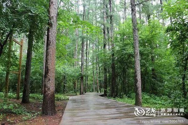 休闲消夏，长春这9个地方就很赞